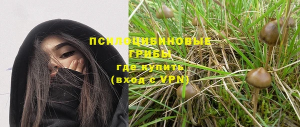 гидра Алзамай